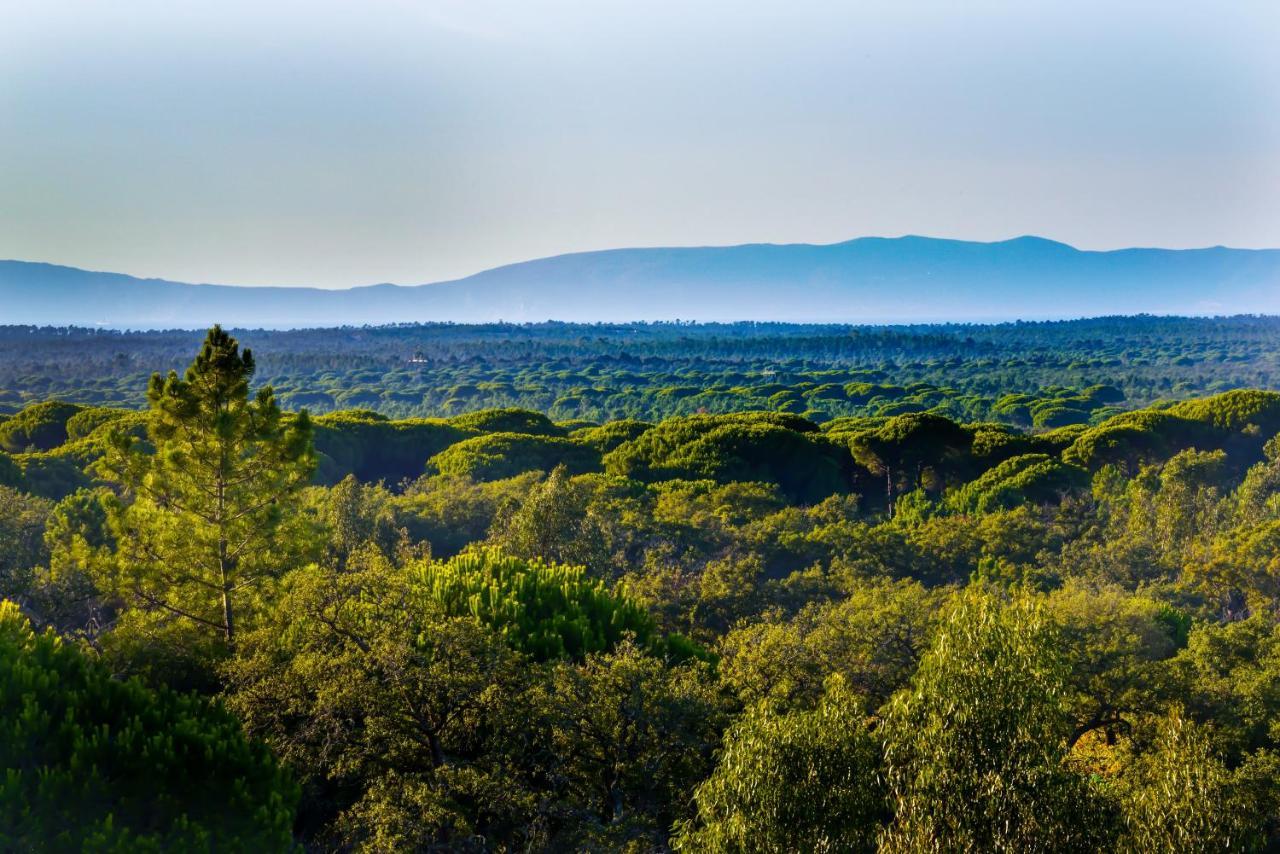 A Serenada Enoturismo Grândola エクステリア 写真
