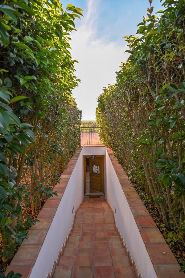 A Serenada Enoturismo Grândola エクステリア 写真
